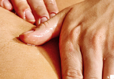 disposable bed cover roll