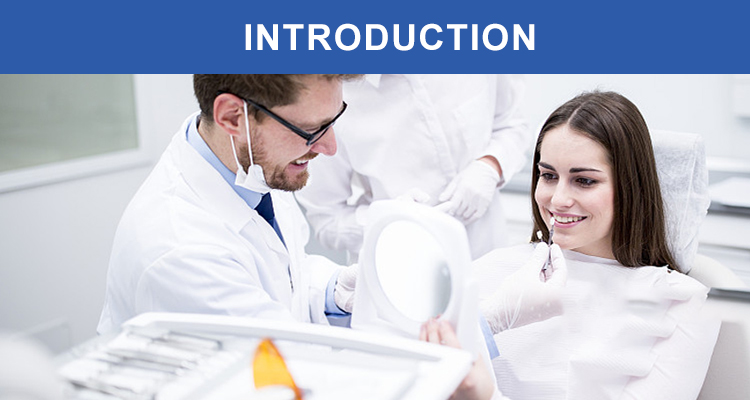 dental brush applicator