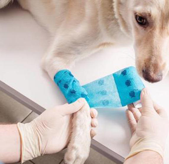 stretch gauze bandage roll