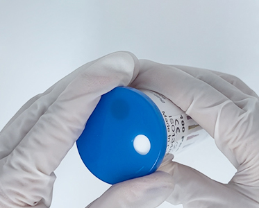 dental brush applicator