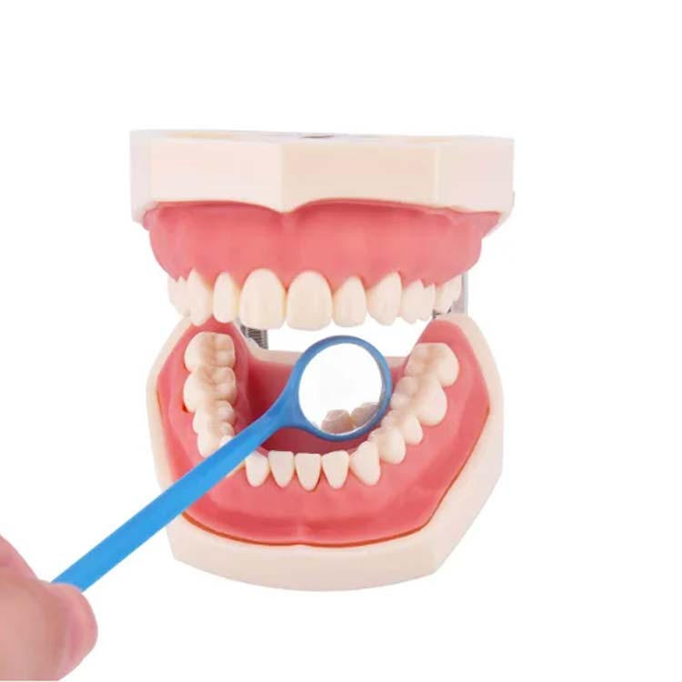 disposable dental mirror