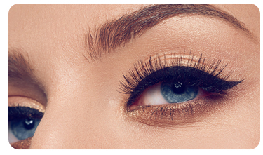 dental brush applicator